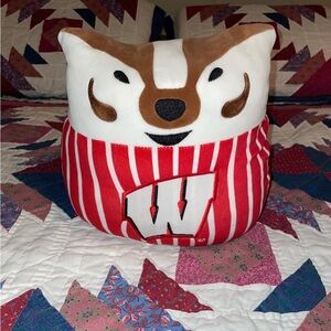 Wisconsin Bucky Badger plush
